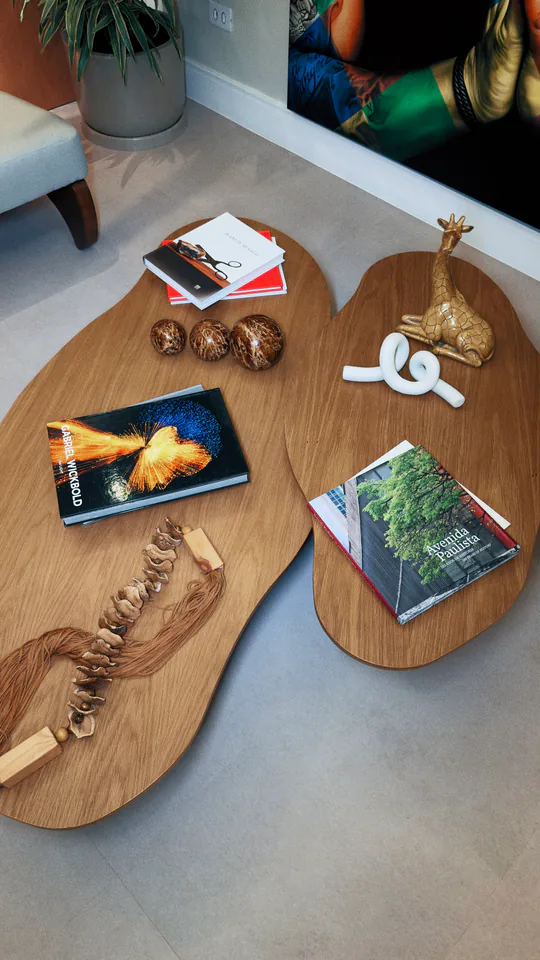 Mesa de madeira com livros, objetos e elementos da identidade do Instituto