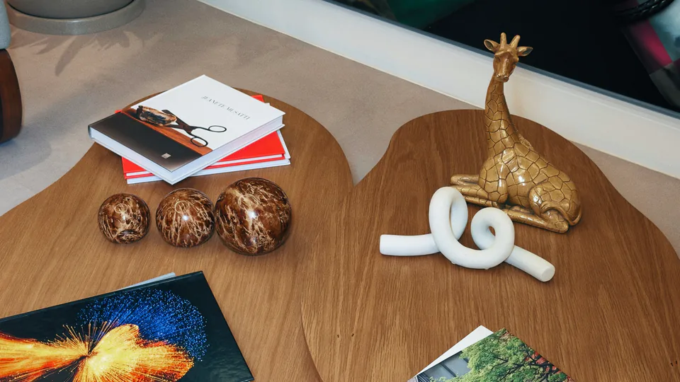 Mesa de madeira com livros, objetos decorativos e identidade do Instituto