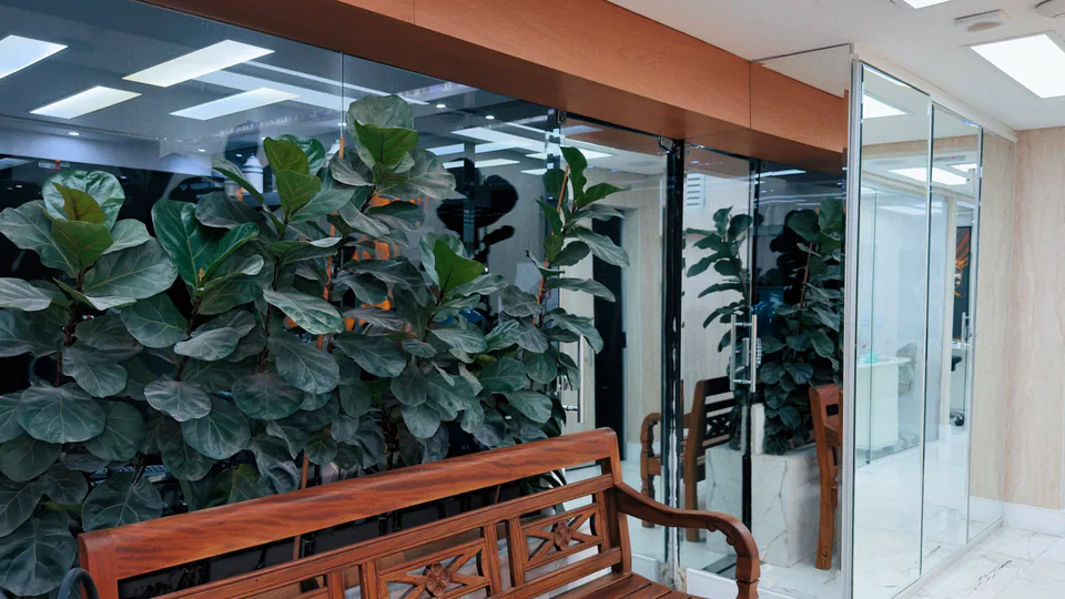 Banco de madeira diante de plantas e divisórias de vidro do Instituto